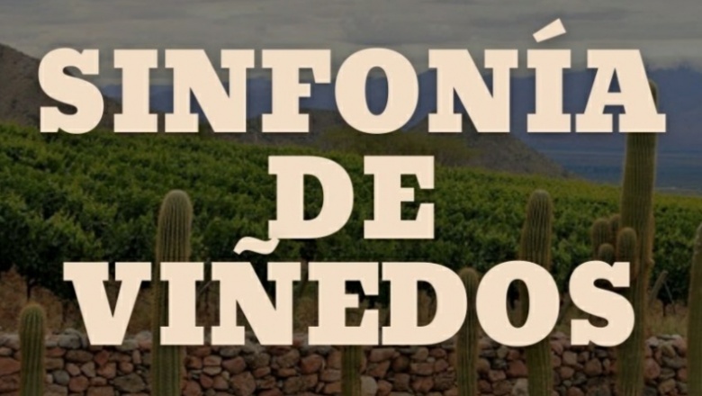 Sinfonía de viñedos