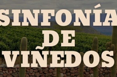 Sinfonía de viñedos